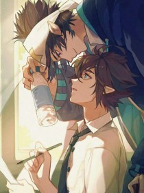 大明1449大明1449朱祁镇的逆袭 大明1449电视剧免费观看大明王朝1627 第1张